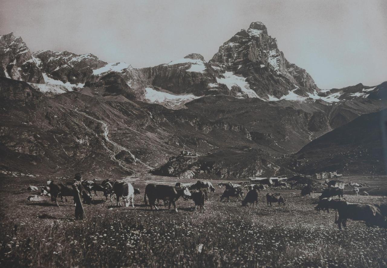 Hotel Meuble' Joli Breuil-Cervinia Eksteriør billede